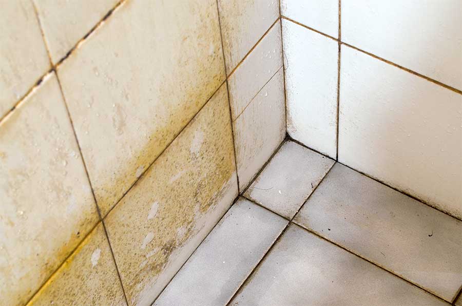 dirty shower tile grout mold and mildew