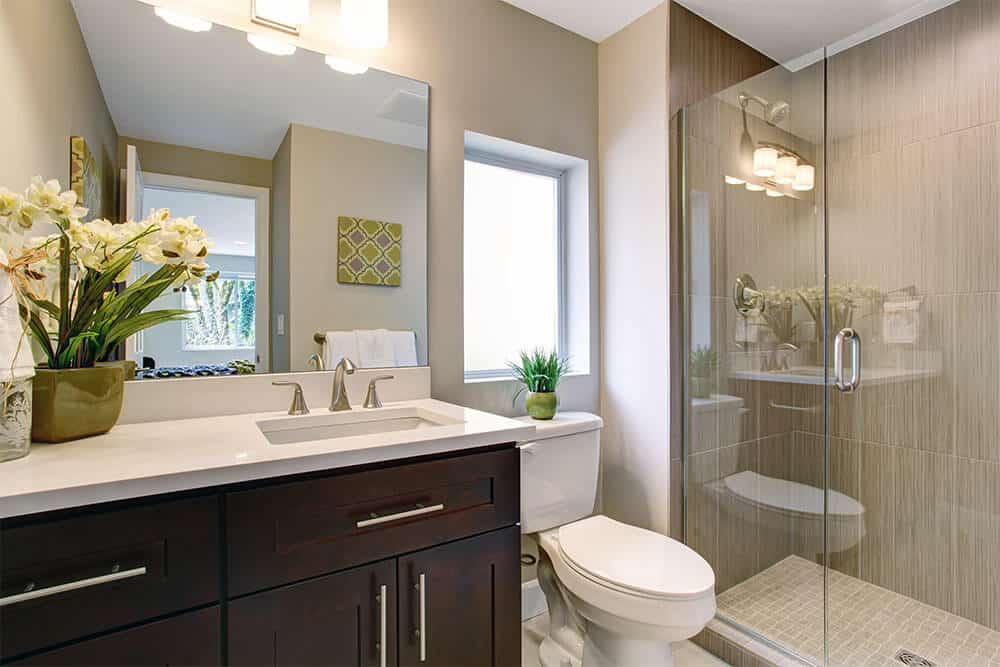 Shower Doors for Small Bathrooms